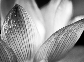 网页在线DDOS压力测试